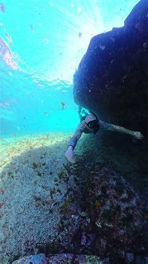 360° Underwater Camera - WOW#360video #Insta360 #divingcase