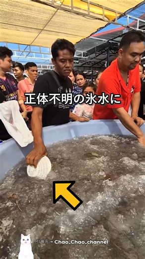 怪しい氷水に手を入れた理由