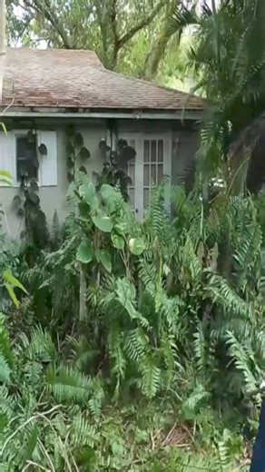 AFTER his PARENTS PASSED AWAY he WATCHED the HOUSE HE BUILT with his FATHER be RECLAIMED by NATURE here is a link to the full video. https://youtu.be/-_sFEBmv3JI?si=VLahrdtj3T_Z92bk DON'T MISS OUT ON A CHANCE TO WIN A FREE 65 INCH 4K T.V. All you have to do is sign up for the free newsletter * NEWSLETTER SIGN UP -- https://lawncarejuggernaut.com/newsletter/ NEVER RESPOND TO COMMENTS THAT SAY YOU WON SOMETHING. FACEBOOK IS FULL OF SCAMMERS! I WILL ANNOUNCE THE MONTHLY WINNER IN THE NEWSLETTER. I 