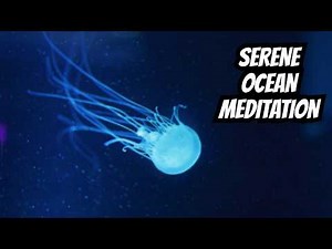 Serene Ocean Meditation with Unique Sea Life – Relax and Unwind