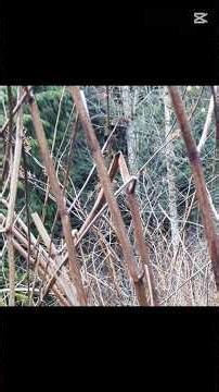 Extremely Concerning pt1. Clarity in the mist of knowing greater than a bit