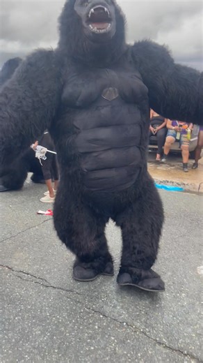 Thousands came to mash up de road… but only TWO gorillas came to run it! St. Thomas Jouvert will never be the same! 🦍 #STTJouvertEdition | The Virgin Islands Consortium