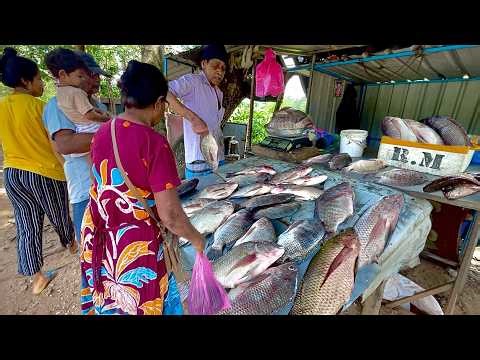 Beautiful! Rural Village Fish Market's Bustling Day & Fisherman's Hard Work