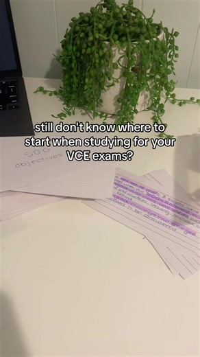 VCE Exam Study Guide: Summary Sheets Made Easy