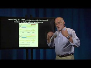 7.1 - Reproduction: The evolution of mammalian reproduction