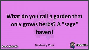 Gardening - Jokes, Puns, Wordplays, and Laughter