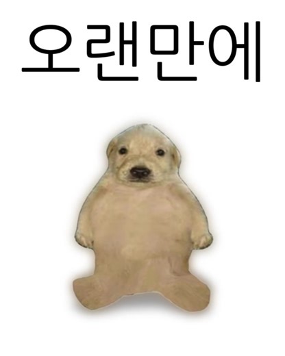 오랜만에 집에서 바나나 먹기