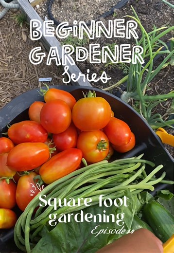 Beginner's Guide to Square Foot Gardening