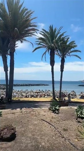The history of Las Americas began here