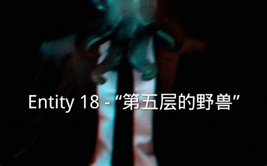 Entity 18 - “第五层的野兽”