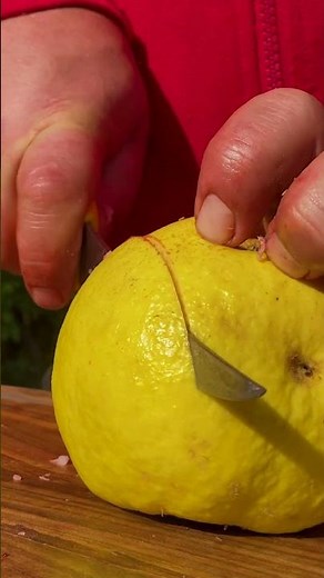 Chef Kanan Cooks Perfect Kebab with Roasted Lamb