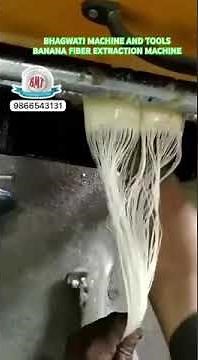 Banana stem fiber extraction machine 9866543131 #banana #fiber #extraction #bananafiber #machine