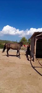 231K views · 11K reactions | Une vraie nouvelle . Notre Glady...