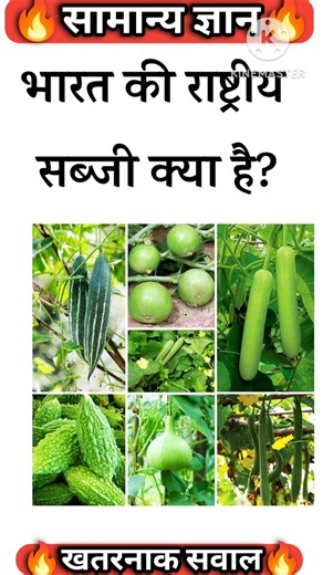 भारत की राष्ट्रीय सब्जी क्या हैMost Beautiful CountriesInTheWorld#g