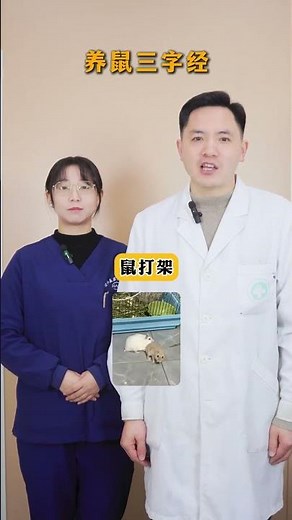 Raising Baby Hamsters: The Ultimate Guide