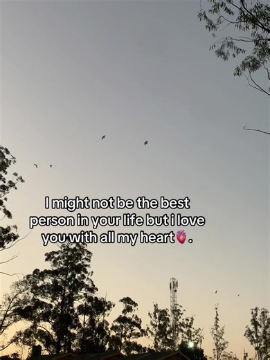 Heartfelt Expressions of Love in TikTok Videos