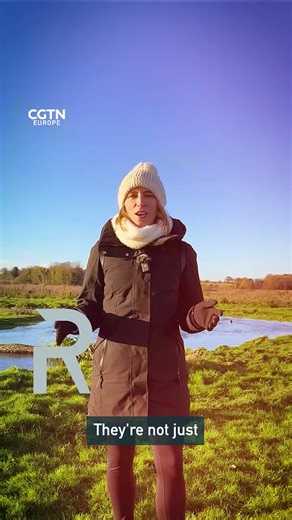 Rivers: why do they need wiggles?