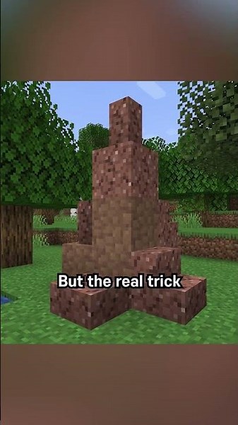 termite or ant hills