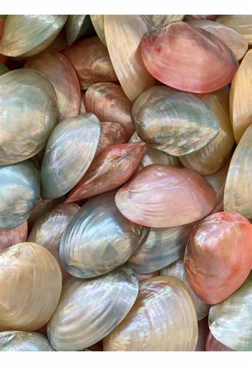 Transform Your Mood with a Bob Haircut