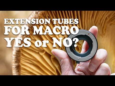 Extension tubes for macro shooting: Yes or No?