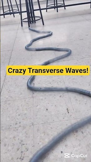 🔥🎢🌀Crazy Transverse Waves!