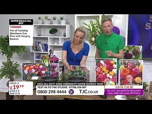 Jenny Cleary - TJC 16Apr2023