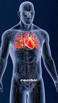 ¿Qué es un infarto de miocardio? #biología #medicina