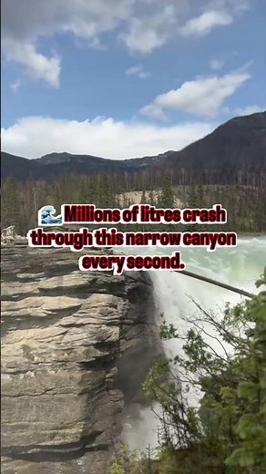 🌊 Feel the incredible power of Sunwapta Falls in Jasper National Park! 🇨🇦