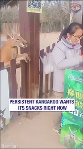 When you have insatiable food cravings 😁 | Bright Side