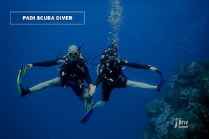 PADI Scuba Diver Course ‣ The Dive Academy Samui