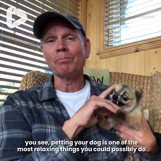 Petting your dog is one of the most relaxing things you can do... 😂😂 | IGV
