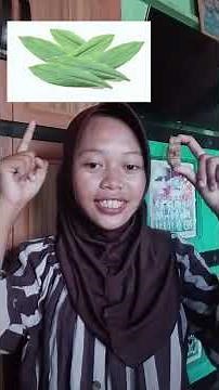 "TEKS LAPORAN HASIL OBSERVASI KUNYIT" SMKN 5 SINGKAWANG