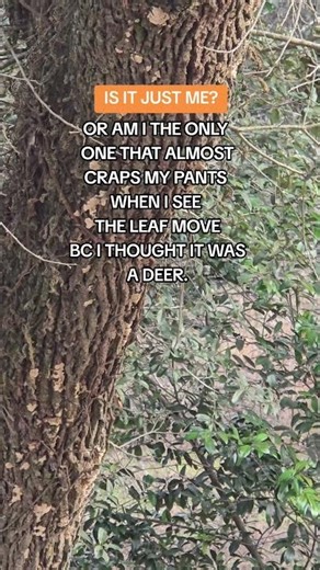 IM HYPERSENSITIVE TO LEAVES. #HUNTING #OUTDOORS #BOWHUNTING