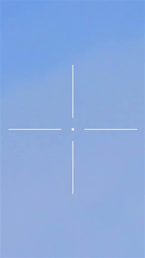 22LR Pheasant Hunting (Scope-Cam) #hunting #outdoors