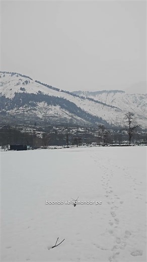 Bunny was right. #travel #shorts