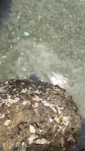 去基隆旅遊的11段影片第二段
