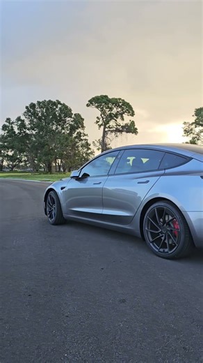 Tesla Model 3 Performance: Great in any angle! 🔥#Tesla #model3performance #model3