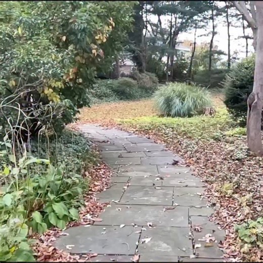 Stu Feiner on Instagram: "APPLE PICKING SEASON. WASH YOUR APPLES 🍎. MY CONTENTION IS PEOPLE SNEEZE ON THE APPLES,TOUCH THE APPLES, DEPLORABLES DO BAD THINGS TO THE APPLES. #BEADVISED APPLE PICKERS."