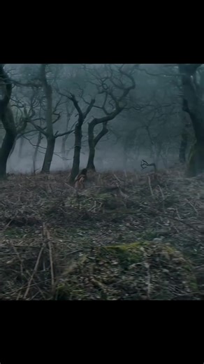 Wolf Vs Werewolf 🔥😱🤯 One wolf was trying to attack on this lady and Werewolf saved her, this Werewolf looks like Werewolf from Harry Potter and the prisoner of azkaban. These are mysterious mythical creatures and beasts. These monsters are real and actually exists 😳 #wolf #werewolf #mythical #beast #Creature