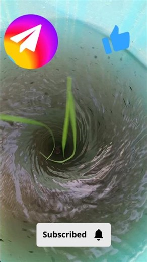 Mini Whirlpool experiment 9 #whirlpool #tornado #vortex #experiment