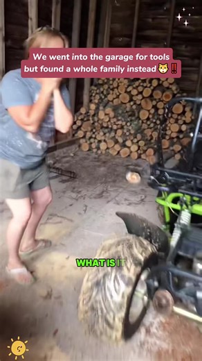 Bulk Delivery from the Cat Distribution System