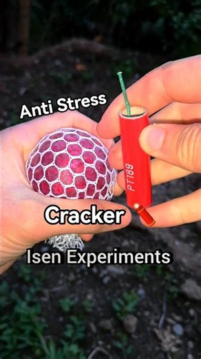 Anti Stress Ball VS Cracker Trick #experiment #firecrackers #fireworks #crackers #trick
