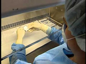 Antineoplastic Agents - Part 2