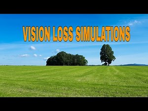 Vision Loss Simulations