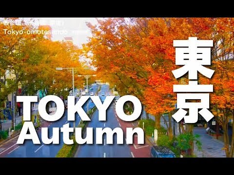 秋の東京の紅葉の名所11選 Tokyo Autumn leaves spots 東京観光 旅行 日本 秋 Tokyo Sightseeing JAPAN
