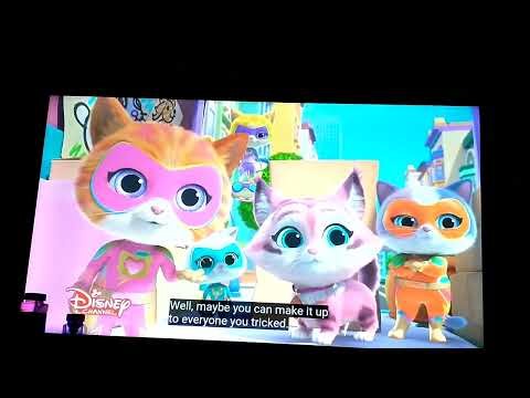 Ginny Stops Granny Caterina! | Clip | SuperKitties