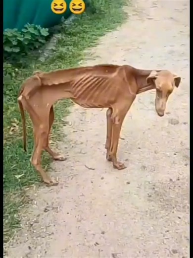 follow for more#fyp#followme #meme #viral