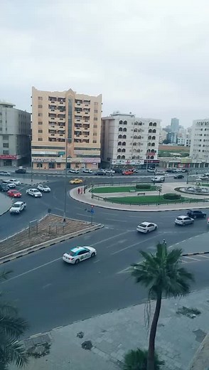 Urban Roundabout Traffic Dynamics in a Busy City