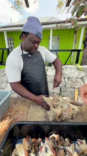 How to get a conch from it's shell.