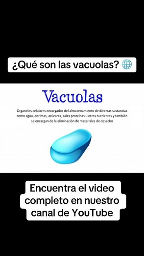 🌐 ¿Qué son las Vacuolas? 💥 Funciones #Vacuolas #Organelo #Célula #Vacuola #CélulaVegetal #ciencia #bio #biologia #Aciertaciencia #cienciaentiktok #aprendeentiktok #aprendecontiktok #edutok